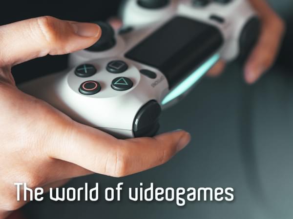 The world of videogames