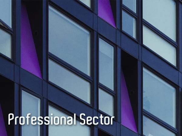 Professional Sector